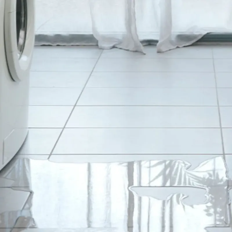Appliance Leak Cleanup in Collier County, FL