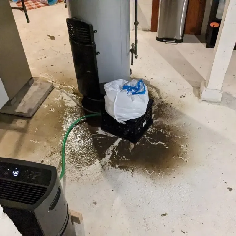Sewage Backup Cleanup Service in Collier County, FL